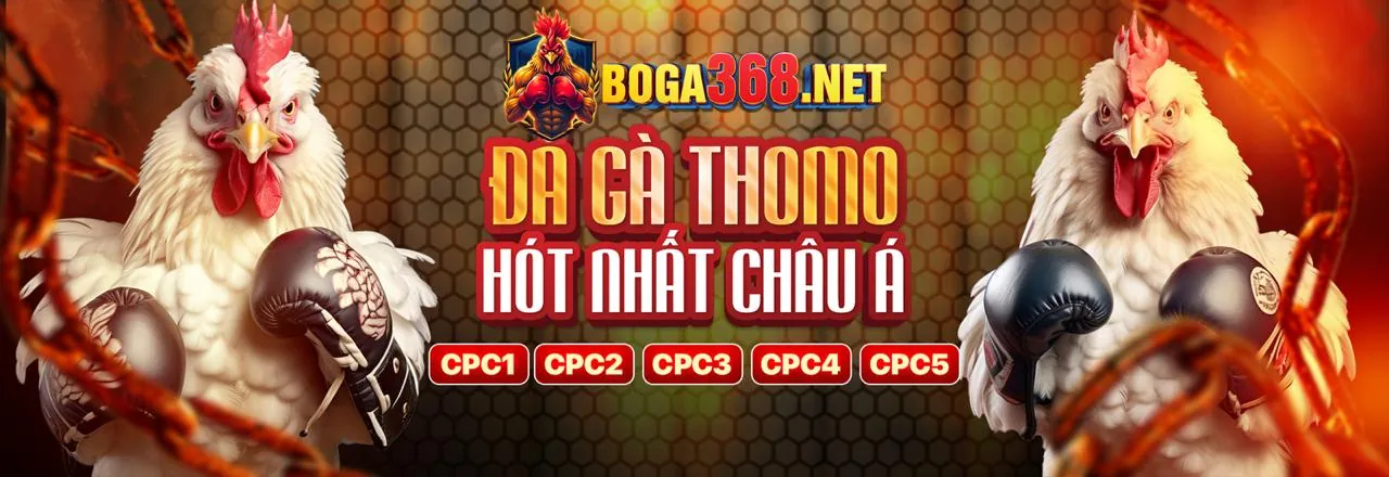 Sân chọi gà trực tuyến EV88BET với những trận đấu kịch tính